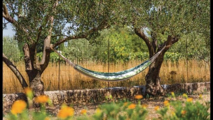 Villa Olive Tree House With Jacuzzi, Wifi And 40M2 Pool Siritovci Exterior foto